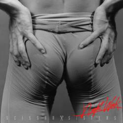 Scissor Sisters : Night Work